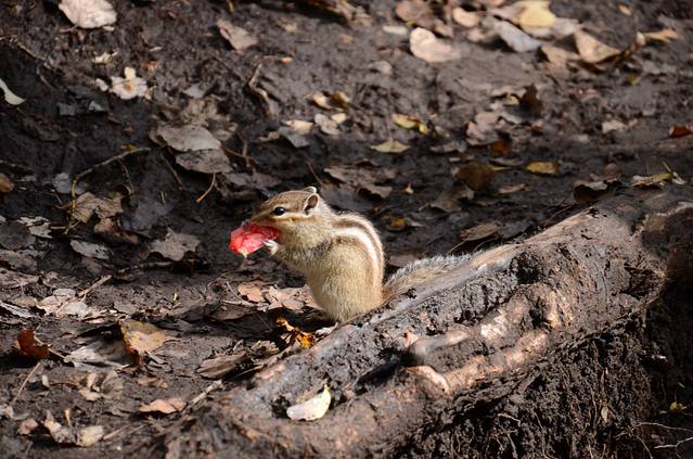 大海陀国家级自然保护区