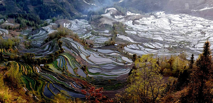 "这里是元阳山势最险峻、气势最恢宏壮观的梯田，堪称“大地雕塑”的典范。摄于元阳老虎嘴梯田景区_老虎嘴景区"的评论图片