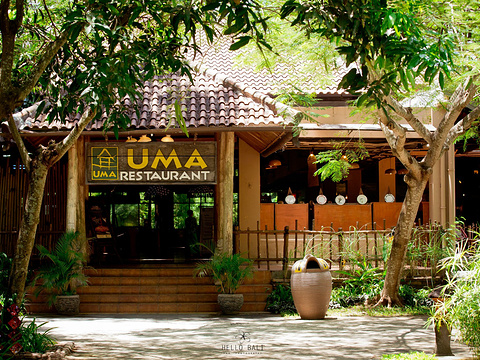 Uma Resto Ubud旅游景点图片