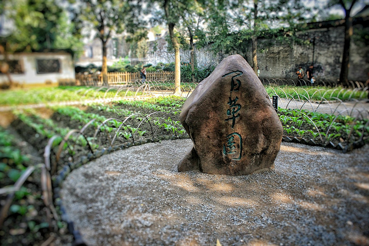 2017tips:游览鲁迅故居不需门票,在入口处直接