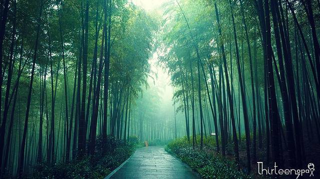 南山竹海文化博物馆