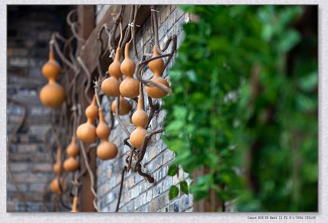 中华道文化博物馆