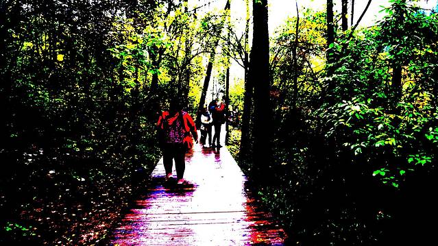 九寨沟、黄龙+成都美食记