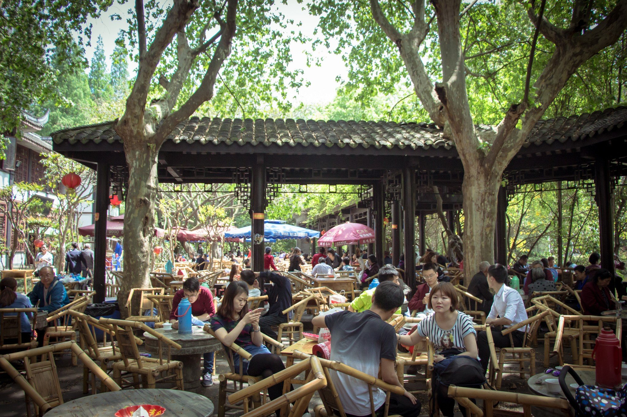 《f4之神志不清成都慢生活六日游》中提到的 鹤鸣茶社 攻略