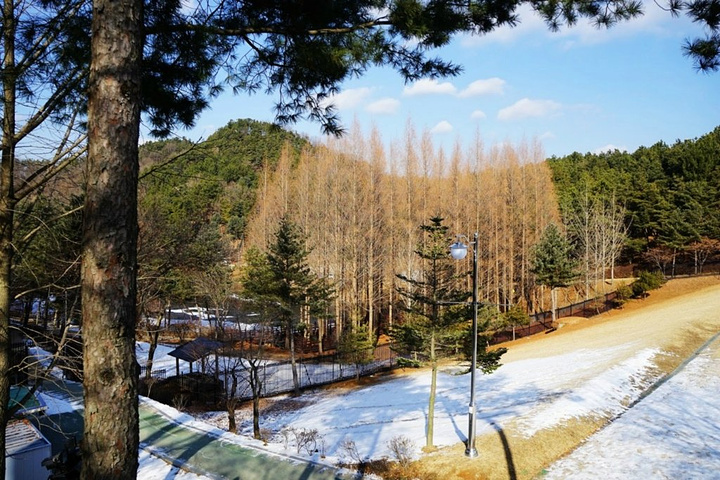 2022青南台游玩攻略,小豆子发现了个好玩的东西。...【去哪儿攻略】