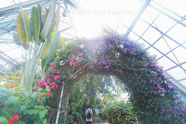 函馆市热带植物园