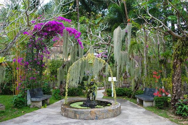 普吉岛--来芭东海滩沐浴阳光,赏碧海蓝天
