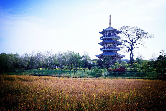 五彩田园 中国现代农业技术展览馆 宝相寺图片