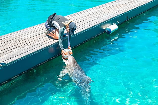 黄金海岸海洋世界