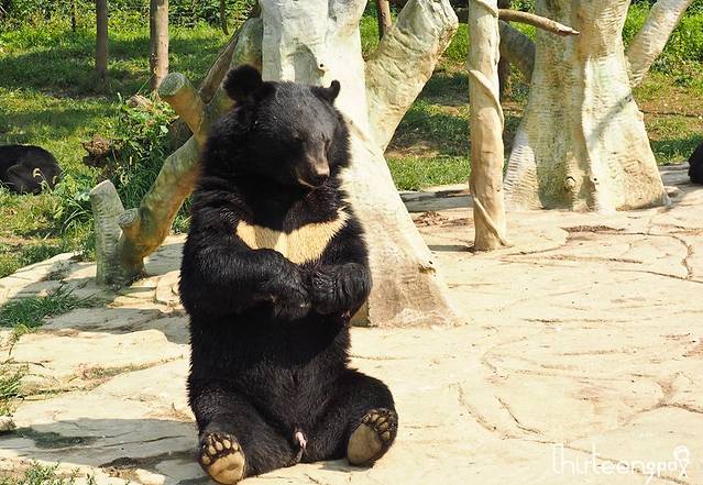 江苏淹城野生动物世界