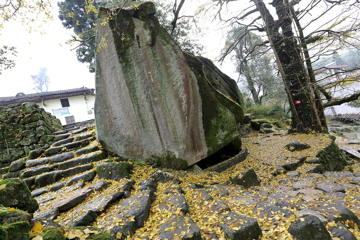 村后修竹如海,流水潺潺穿村而过,但最吸引游人的是村口两棵千年银杏.