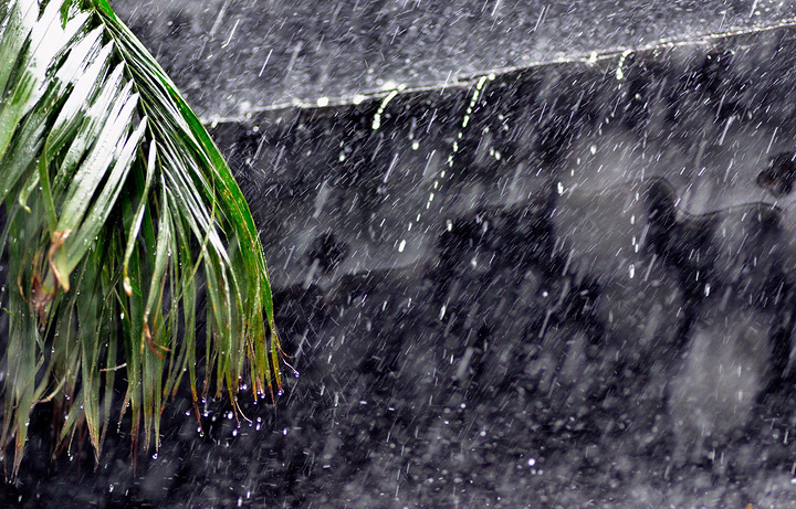 突然袭来的,可能是一阵沁人的花香,也可能是一场蛮不讲理的暴风雨