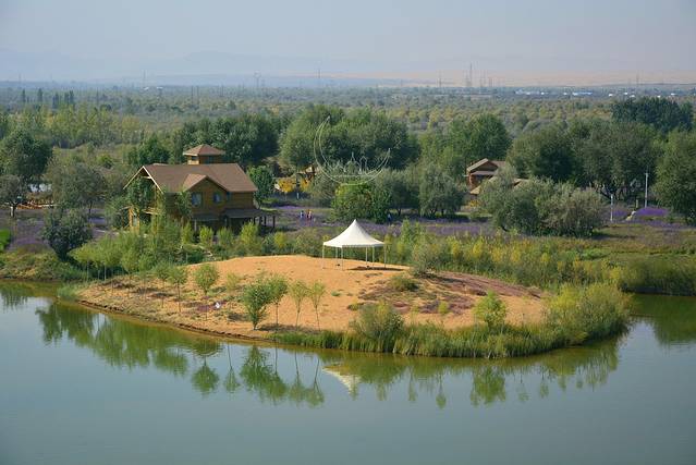 腾格里沙漠湿地