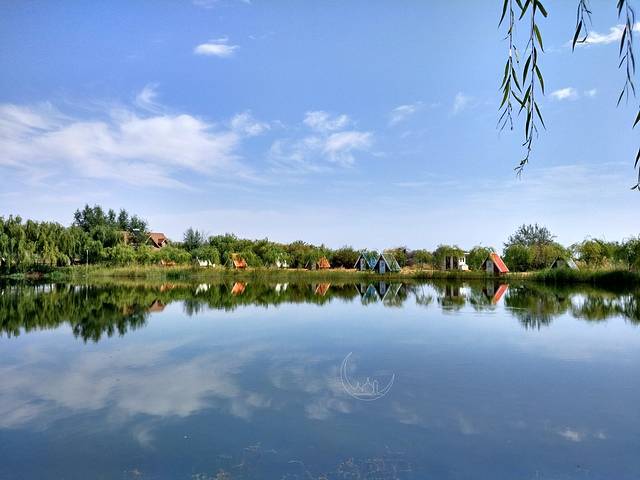 腾格里沙漠湿地