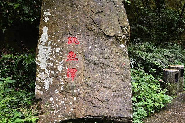 袁家界景区-跳鱼潭