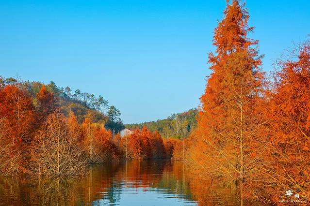 青龙湾生态旅游区