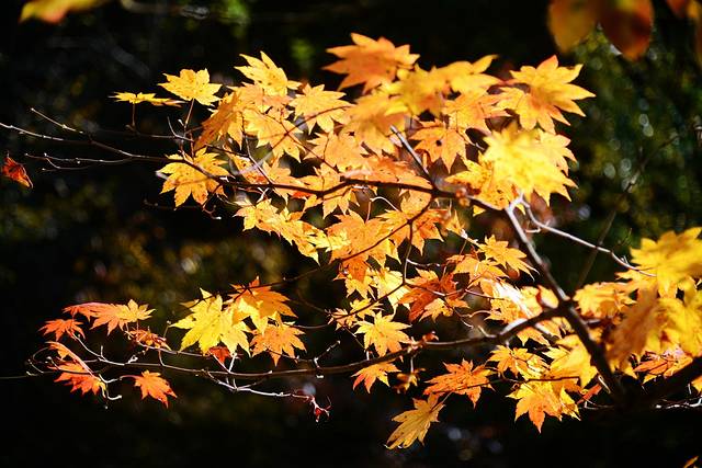 本溪老边沟风景区