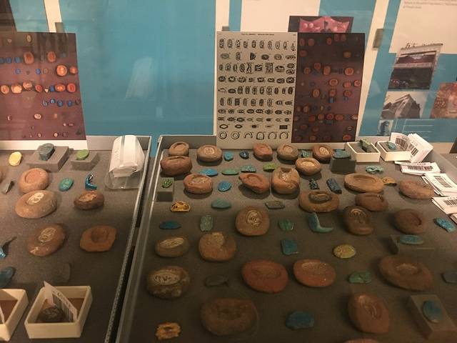 皮特里埃及考古博物馆