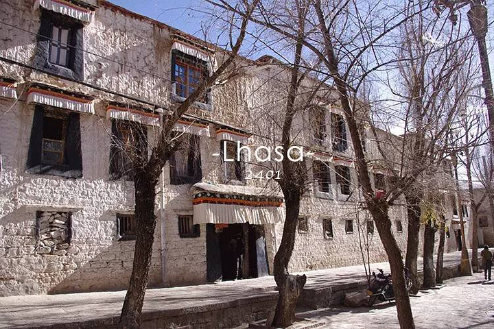 2017每个到访色拉寺的人,几乎都是冲着僧侣辩