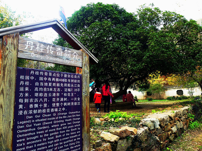 11图片