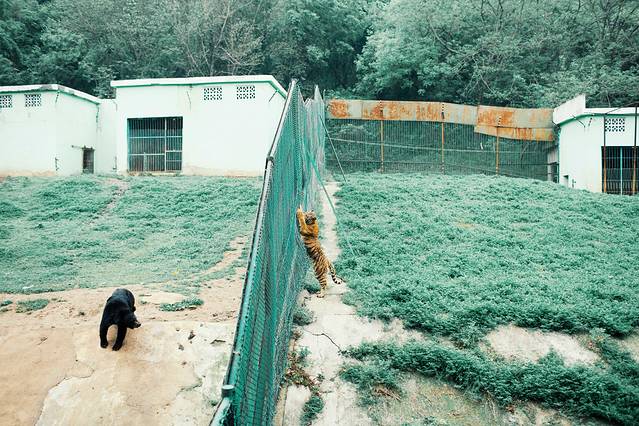 浦口珍珠泉野生动物生态园