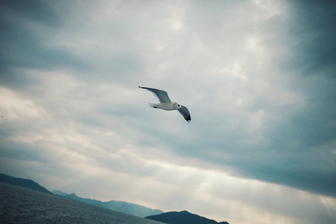 有座城 叫做香川你知道吗 高松旅游攻略 游记 去哪儿攻略