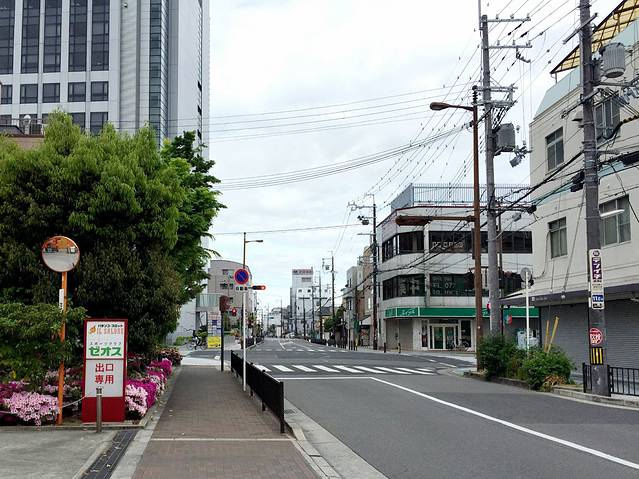大头の第5次日本之旅