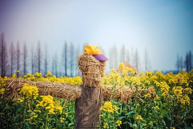 东平国家森林公园