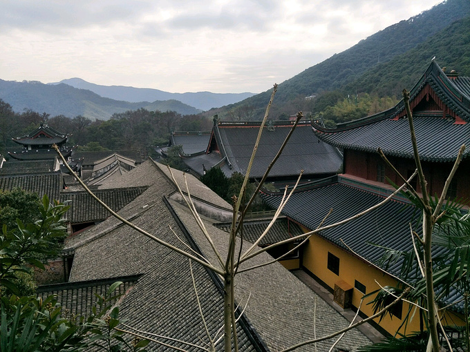 宁波天童寺1日游-宁波旅游攻略-游记-去哪儿攻略