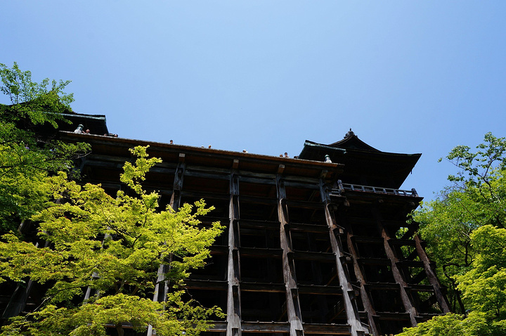 票很漂亮,可以当书签的呦!比起我们对待汉服的