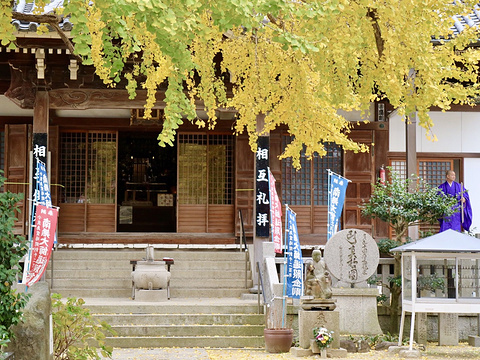西芳寺旅游景点图片