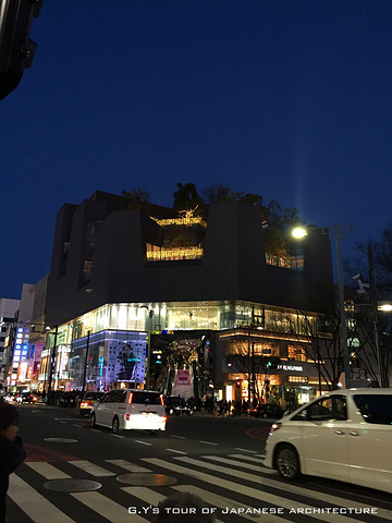 21为了建造安腾设计的购物中心 甲方森地产集体拆除了原有的同润会公寓 玻璃屋顶使自然光线照射到建筑深处 表参道 评论 去哪儿攻略