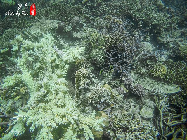 记一场现实版的少年派漂流(马来西亚沙巴)