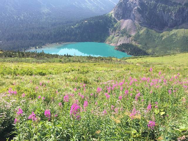 美国冰川湾国家公园