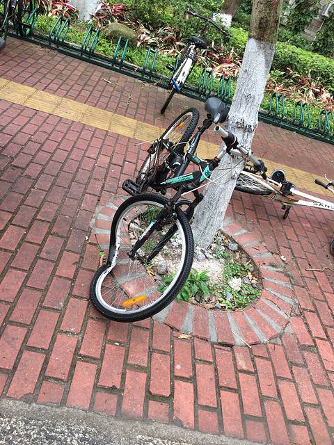 同学们,老太太是你们撞得不,车圈都瓢了.