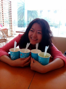 泰迪熊野生动物国旅游景点攻略图