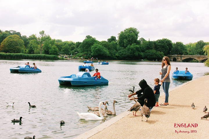海德公园hydepark海德公园是伦敦最大最著名的皇家公园也是最为游客所