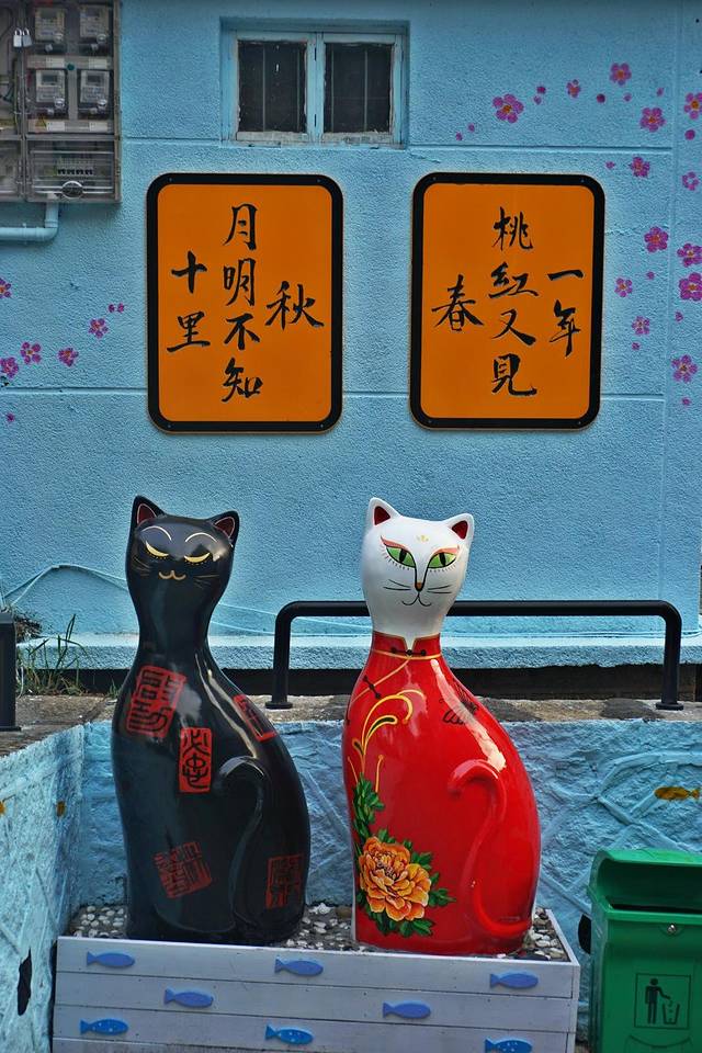 厦门猫咪博物馆(思明南路店)