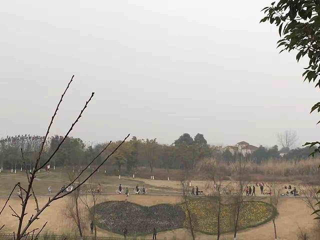 白鹭湾国家城市湿地公园