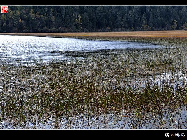 行驶一圈69公里的神话圣地普达措国家公园。