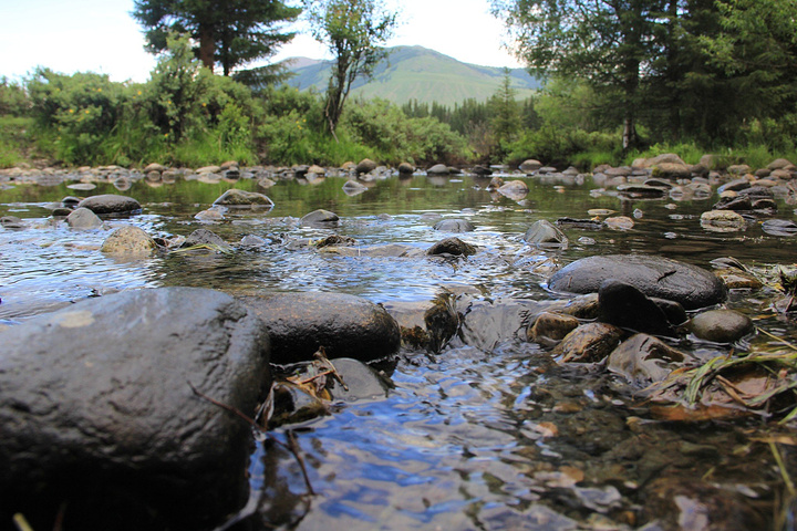 2022喀纳斯游玩攻略,喀纳斯交通/住宿/行程/美食/购物攻略,喀纳斯注意