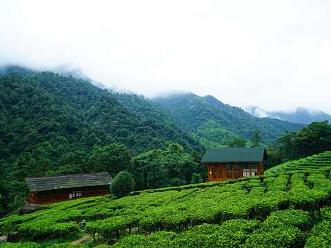 姑婆山旅游景点图片