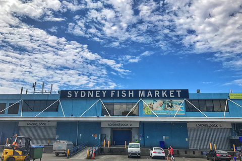 来悉尼一定要去的悉尼鱼市场!Fish Market!