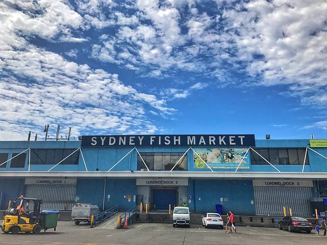 悉尼鱼市场