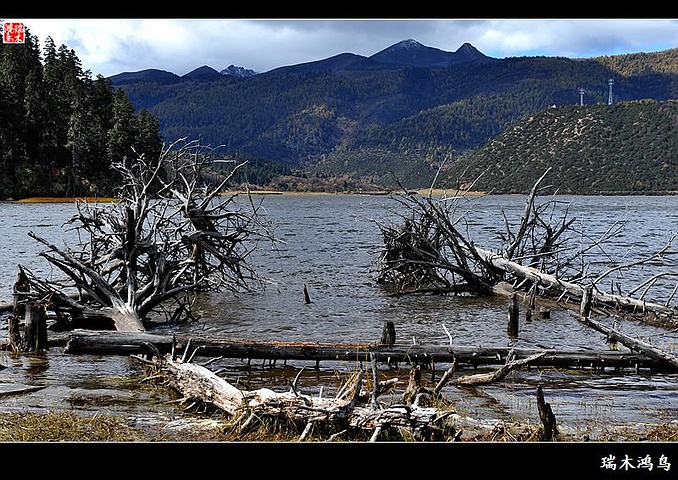 行驶一圈69公里的神话圣地普达措国家公园。