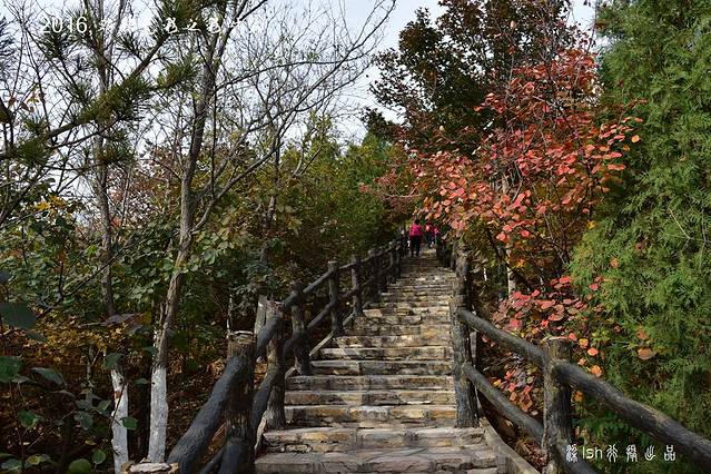 北宫国家森林公园