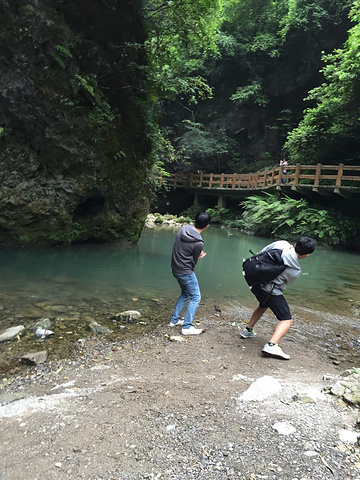 "地缝可以看到很多悬崖峭壁和通往地下的石缝，整个景区比天坑要昏暗一些，也更阴冷，但个人认为景色有..._小寨天坑风景区"的评论图片