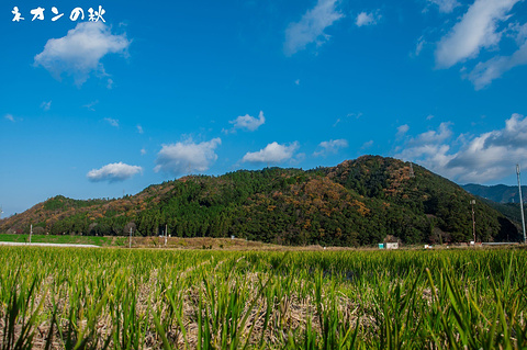 岚山