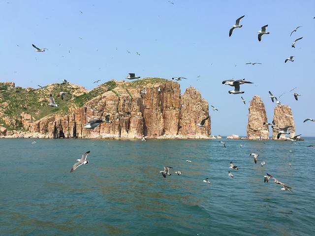 万鸟岛景区