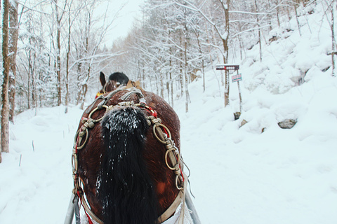 雪乡狗熊岭旅游景点攻略图